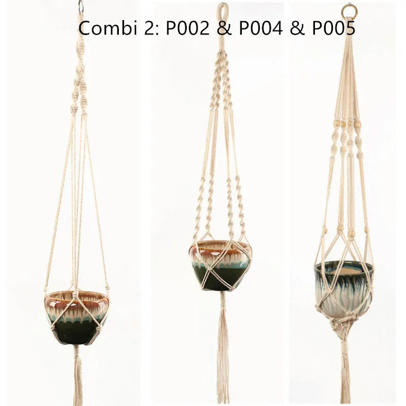 Woven wire lattice plant holder with natural cotton rope, shown in a rustic style supporting a green plant.