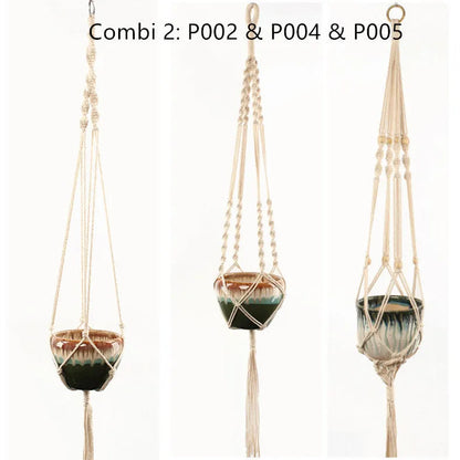 Woven wire lattice plant holder with natural cotton rope, shown in a rustic style supporting a green plant.