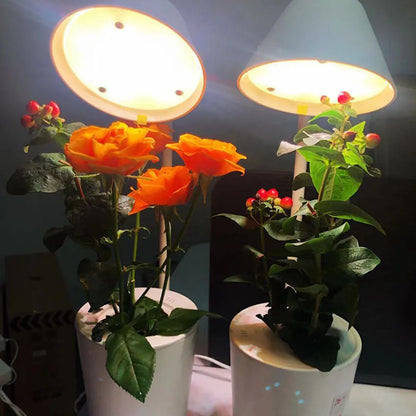 White plastic hydroponic container for desktop soilless plant cultivation with international size compliance