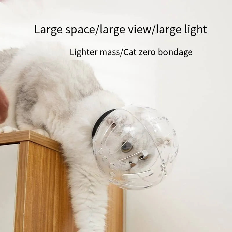 Cat muzzle and protective space hood in sizes M, L, and XL, made from transparent and breathable PP plastic with adjustable Velcro closure, designed to prevent biting, licking, and anxiety during grooming, bathing, or post-operative care for small pets.