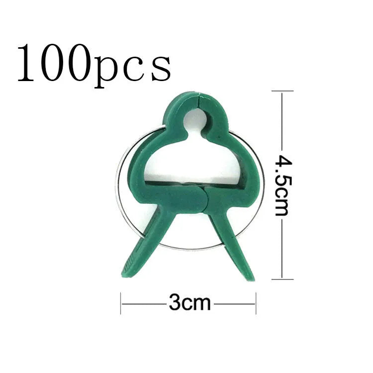 Green plastic plant fixing clips, large and small sizes, holding a tomato stem to a garden cane.