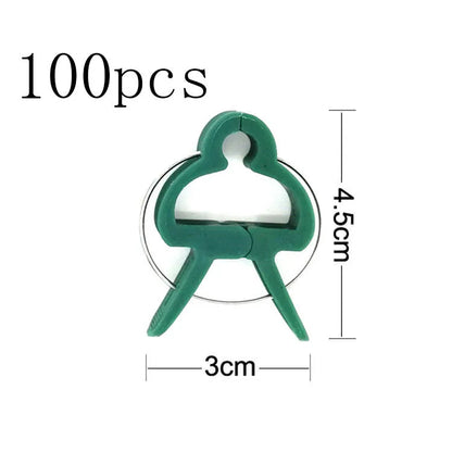 Green plastic plant fixing clips, large and small sizes, holding a tomato stem to a garden cane.