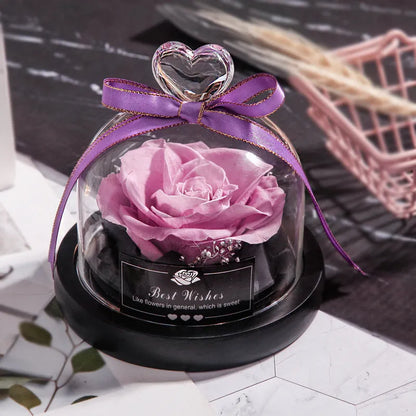 LED eternal real rose preserved in a glass dome home decor with colour options.