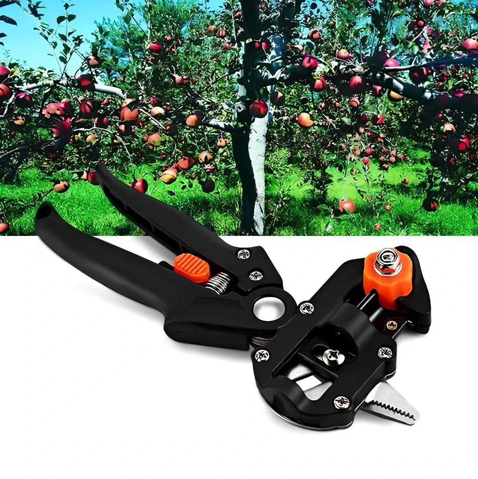 12-piece card and cloth bag collection with 2cm width, multiple styles, orange and red options