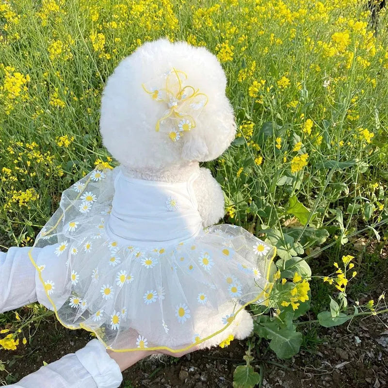 Yellow daisy patterned dog clothes made from thin polyester fabric for summer wear