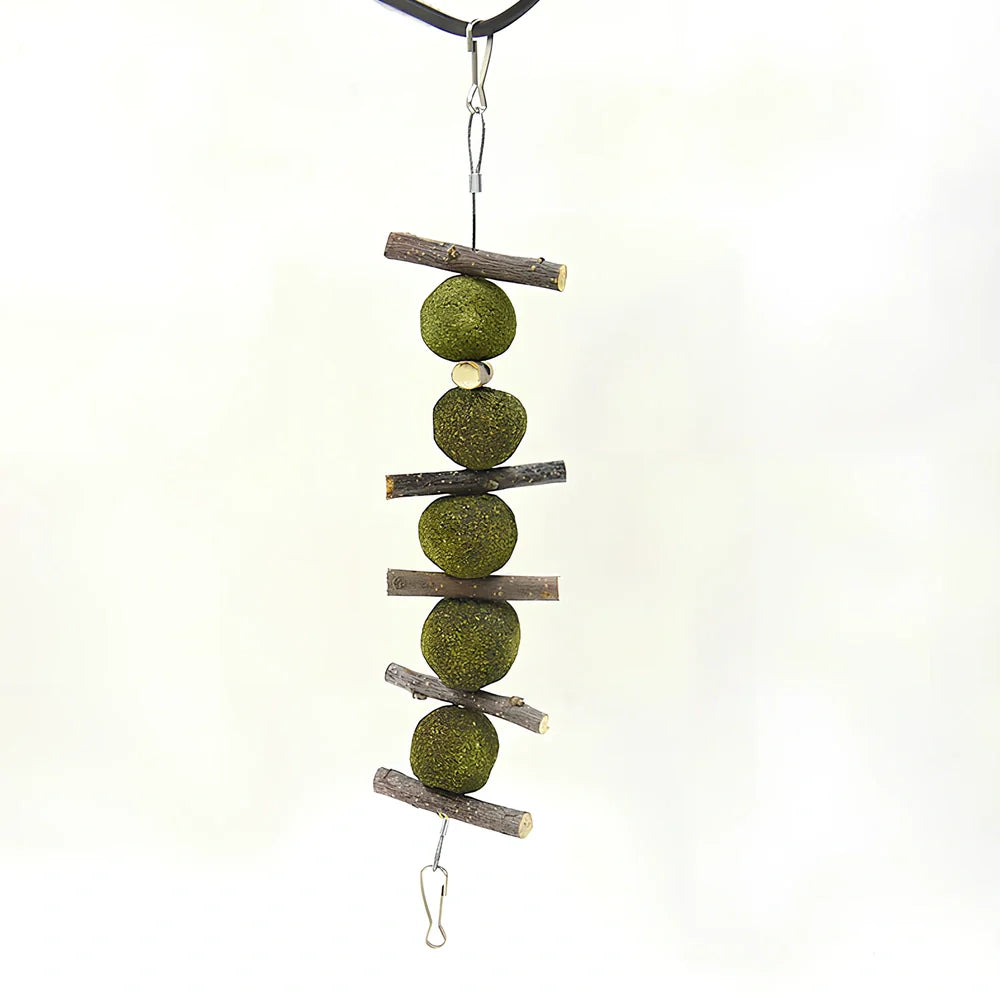 Pet molar supplies with 5 grass balls and 6 apple branches hanging for small animal dental care