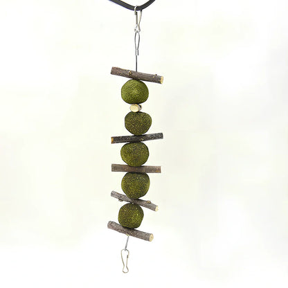 Pet molar supplies with 5 grass balls and 6 apple branches hanging for small animal dental care