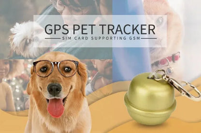 Black GPS dog collar with attached tracking unit on a dog's neck, showing adjustable strap and compact device