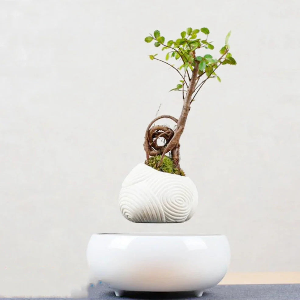 Magnetic levitation potted plant ornament floating bonsai at 15 mm in white stripes, plastic base with 12V power