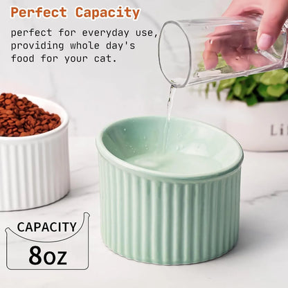 Ceramic raised cat bowl in light green, showing elevated tilted design for pet feeding.