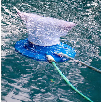 Blue swimming pool vacuum cleaner with suction head and mesh bag for garden hose attachment