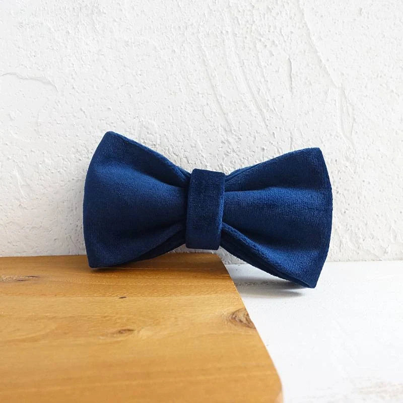 A stylish dark blue velvet pet collar with a matching bow tie accessory, perfect for dressing up your dog