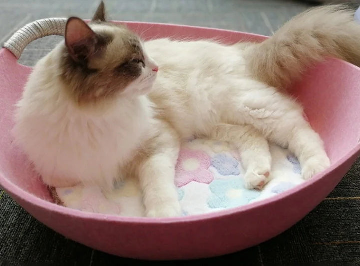Pet Perch Cat Scratcher Bed House in various colors with zipper design and throw pillow