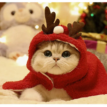 Red polar fleece dog cloak with antler hood on a small dog