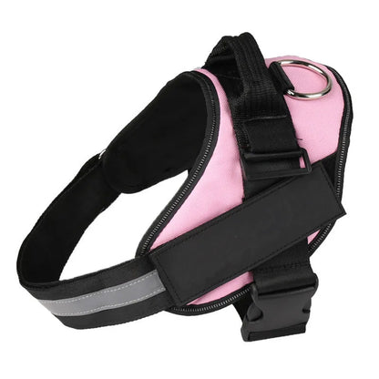 A reflective adjustable no-pull dog harness in nylon, shown on a dog, with a sturdy handle and D-ring for leash attachment.
