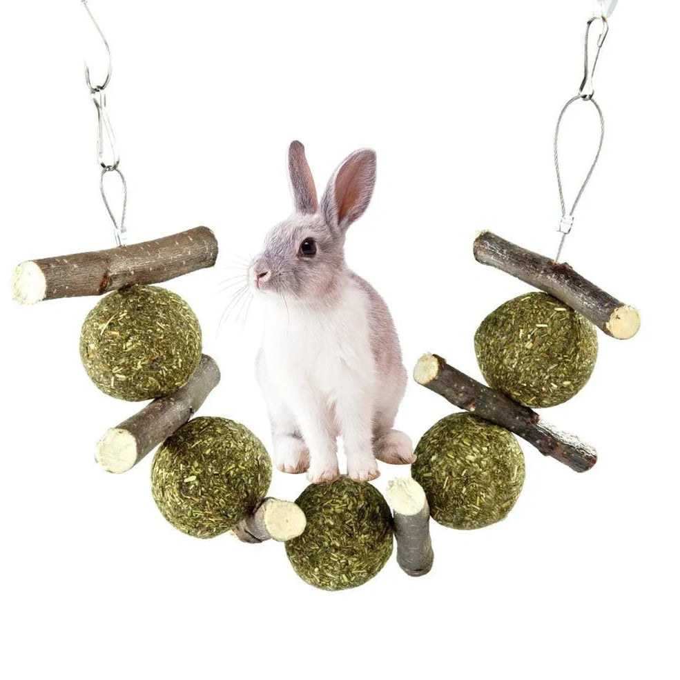 Pet molar supplies with 5 grass balls and 6 apple branches hanging for small animal dental care