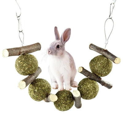 Pet molar supplies with 5 grass balls and 6 apple branches hanging for small animal dental care