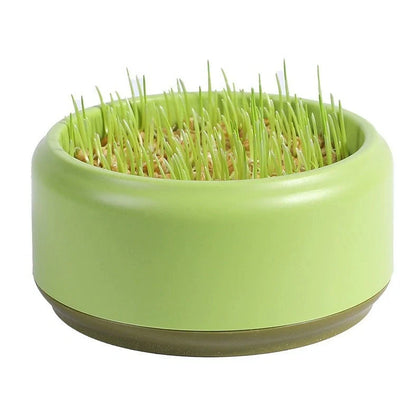 Blue hydroponic cat grass kit with growing cup and seed packets for soilless indoor planting