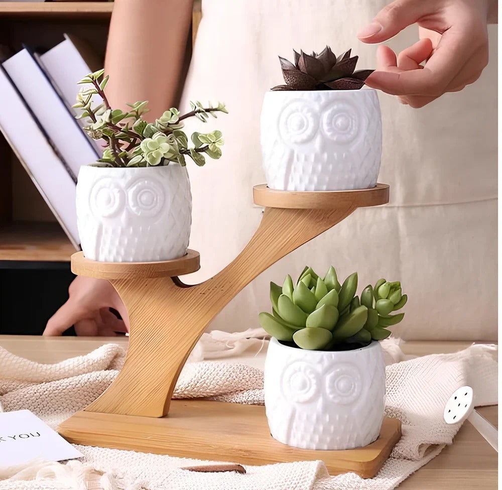 Three white ceramic owl planters on 45cm bamboo tree frame for succulents, corrosion-resistant modular display