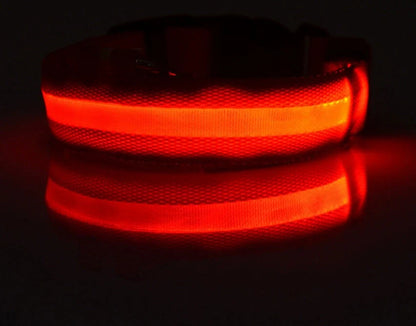 Nylon LED dog safety collar with illuminated fibre optic lights in blue colour, adjustable buckle, and waterproof construction