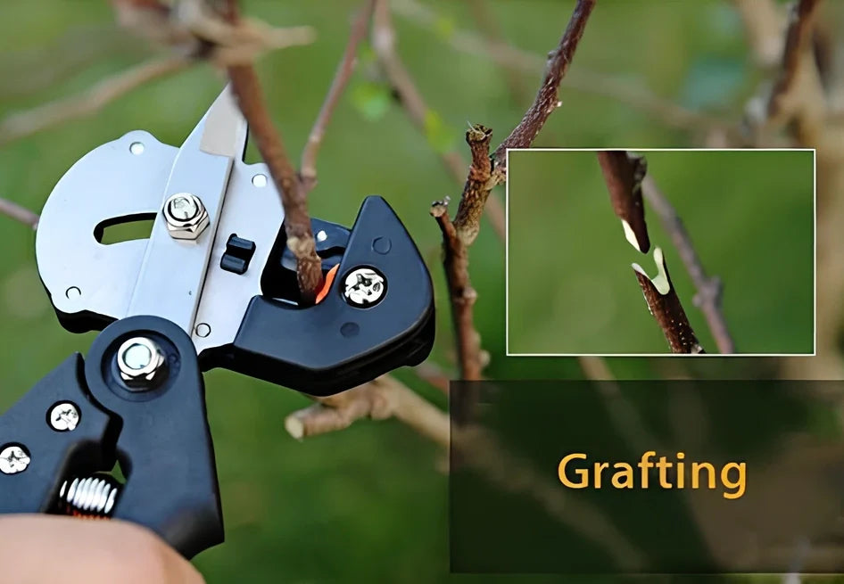 12-piece card and cloth bag collection with 2cm width, multiple styles, orange and red options