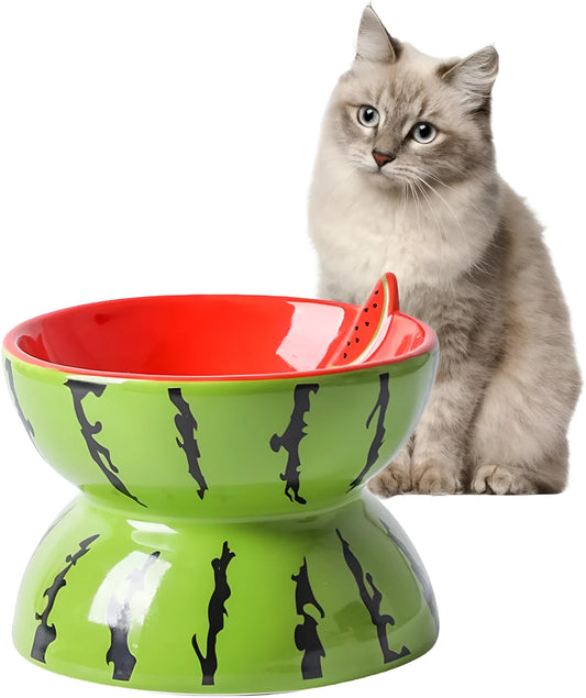 Ceramic raised cat bowl with tilted design in fruit pattern colours