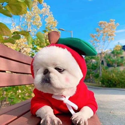 Two-legged hooded fleece dog outfits in various colors for autumn and winter wear