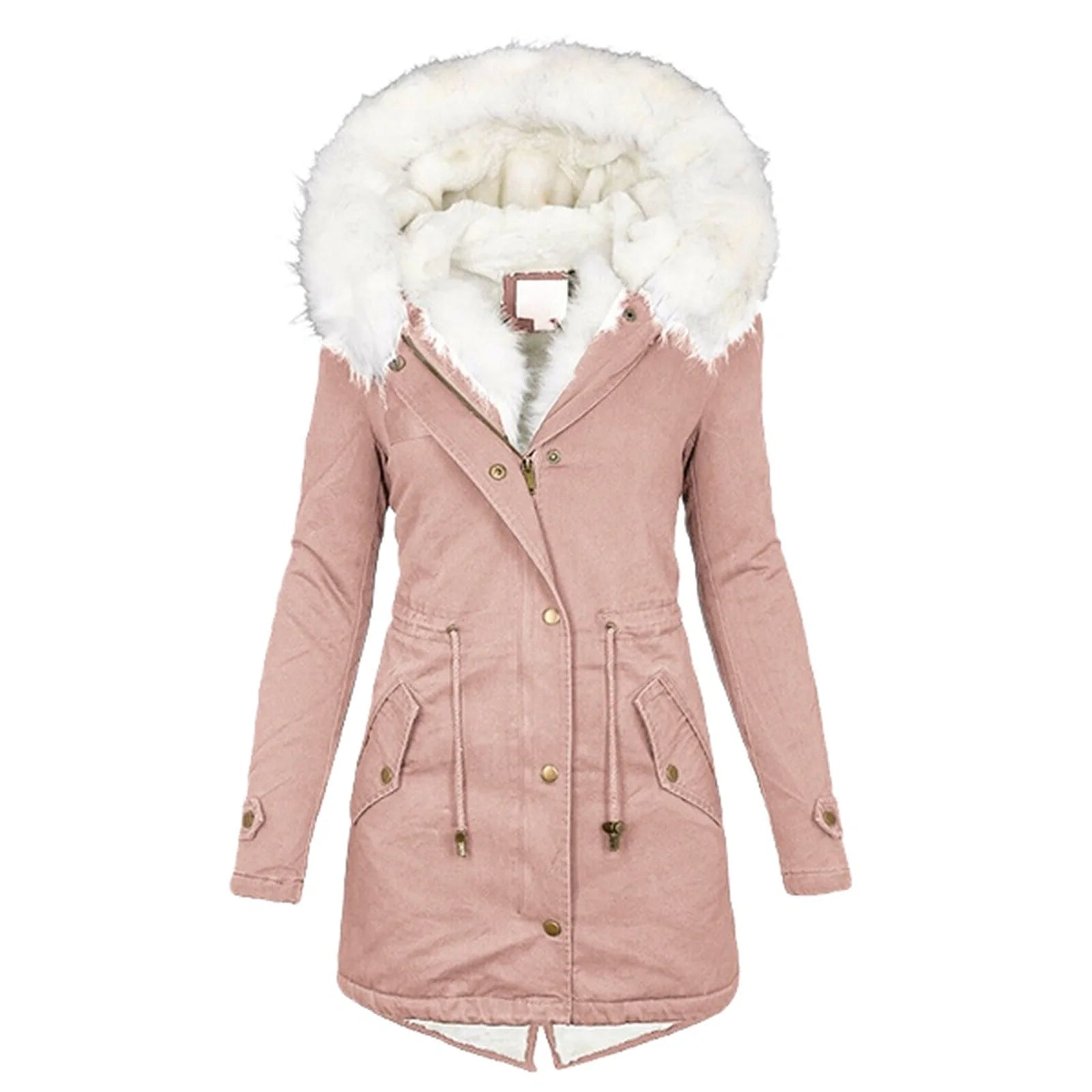 Women's cozy cotton padded jacket with a stylish white collar, available in multiple colors and sizes.