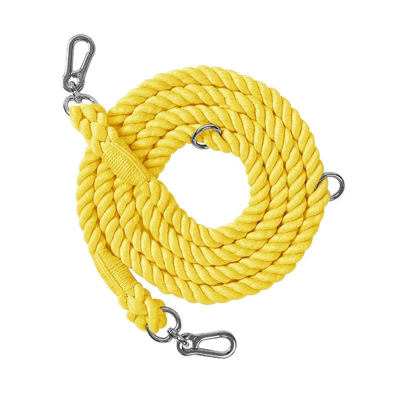 Woven rainbow pattern dog leash with double grip handles and a metal clasp.