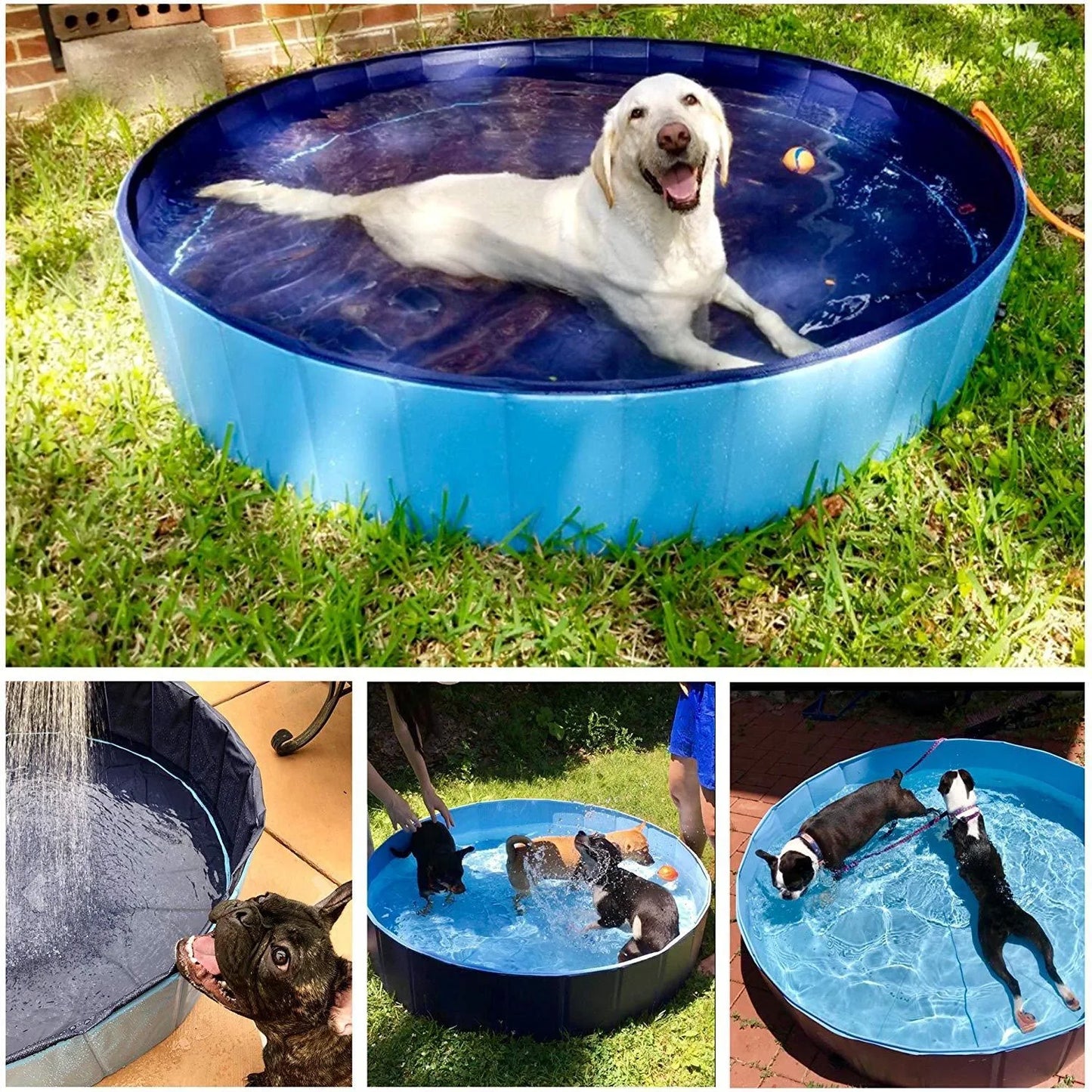 Collapsible dog pool with drain for easy water removal, available in blue water pattern and red sea wave designs