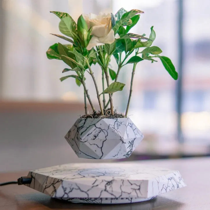 Marbling colour magnetic levitating plant pot floating above base with small plant inside