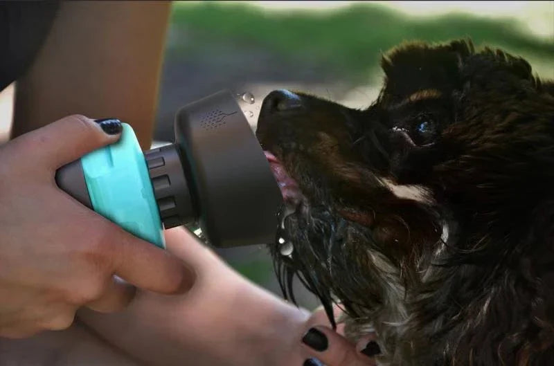 Leakproof foldable dog water bottle with built-in water bowl for convenient hydration on the go