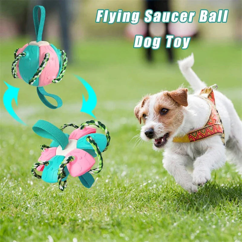 Transforming dog toy that can switch between a ball and frisbee shape, featuring durable construction and interactive play features