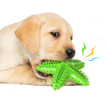 Starfish Vocal Pet Dog Toy Molar Stick in lake blue, yellow, and green for teeth cleaning