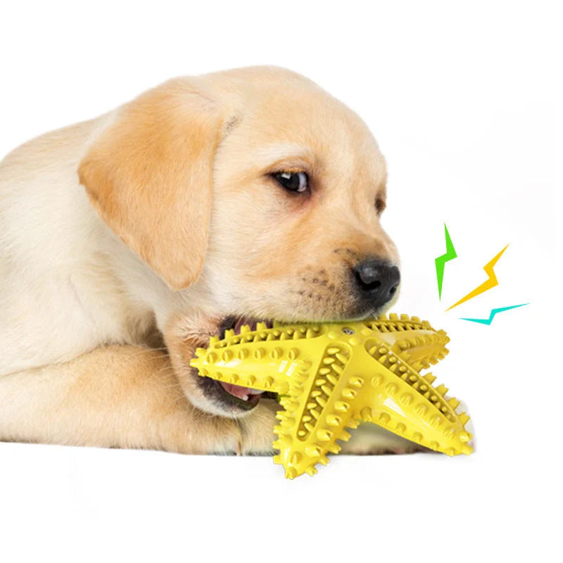 Starfish Vocal Pet Dog Toy Molar Stick in lake blue, yellow, and green for teeth cleaning