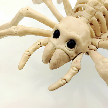 Halloween horror decorations injection-moulded from plastic with mouse and spider style options