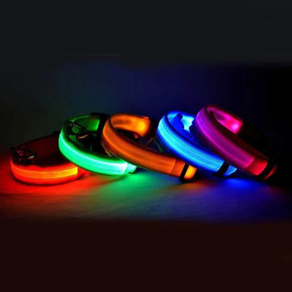 Nylon LED dog safety collar with illuminated fibre optic lights in blue colour, adjustable buckle, and waterproof construction