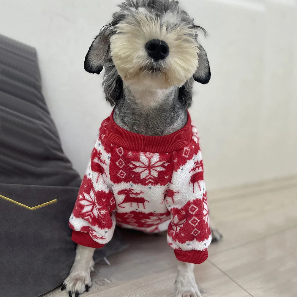 Winter warm padded dog sweater in Christmas red, sizes S to XL