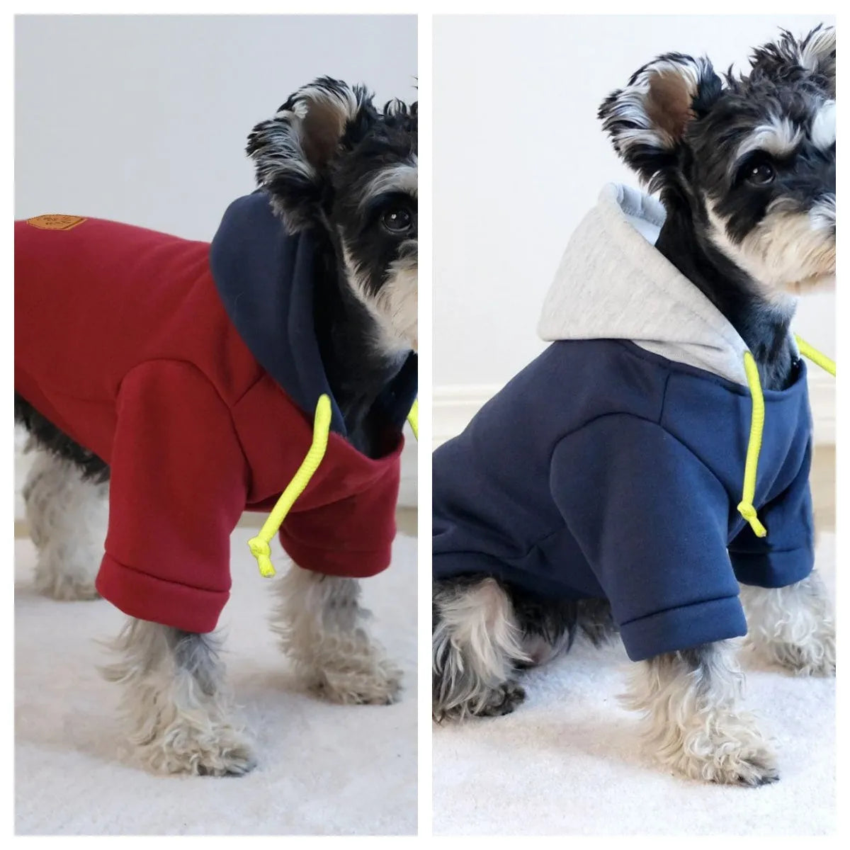 British style hooded pullover for pets with contrasting colour panels in polyester fabric