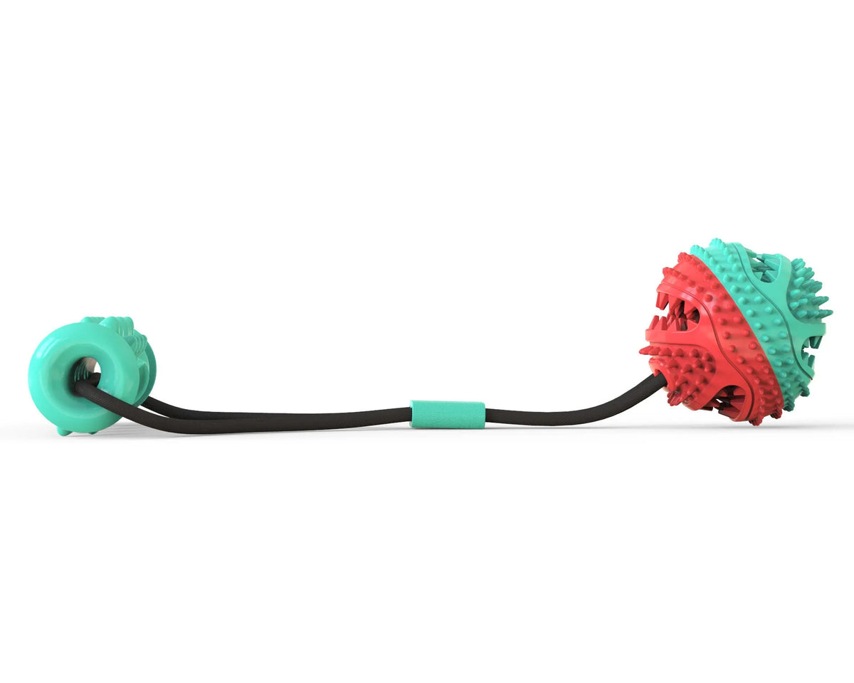 Pet toy set with 8.5cm training ball, 12cm molar stick and pull rope for dog play.