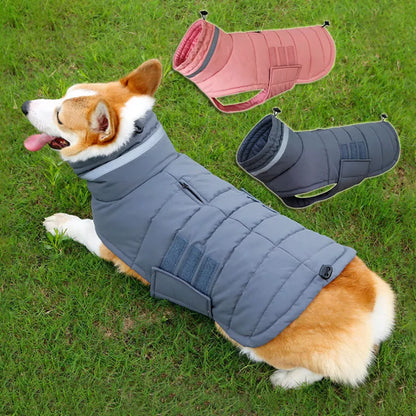 Waterproof winter dog coat in gray and pink, sizes S to XL, for medium to large dogs