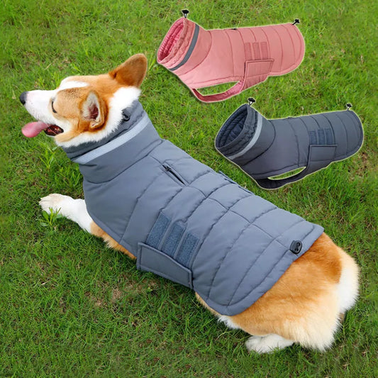 Waterproof winter dog coat in gray and pink, sizes S to XL, for medium to large dogs