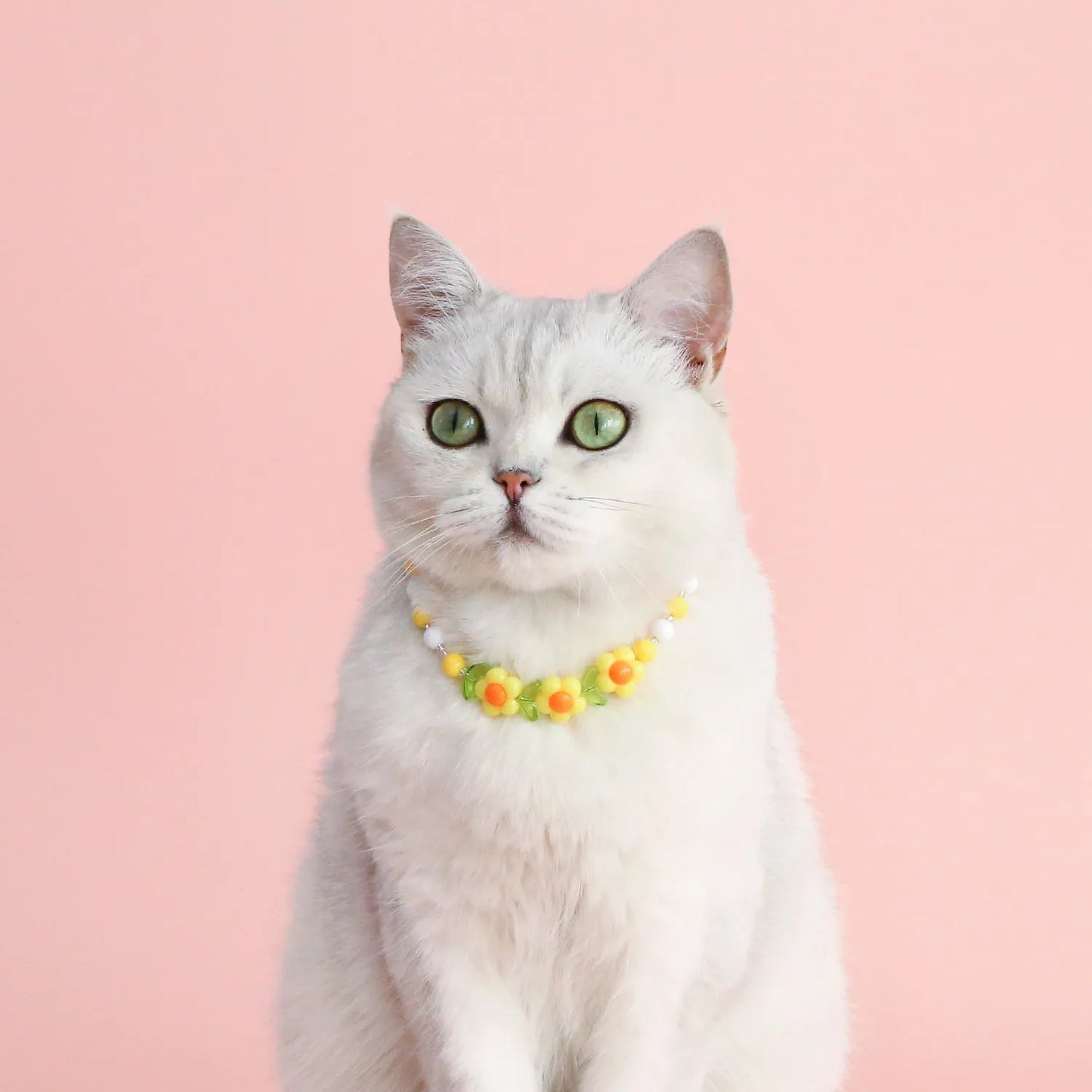 Colourful plastic bead cat necklace with adjustable clasp showing peach, rainbow, and small flower pattern options