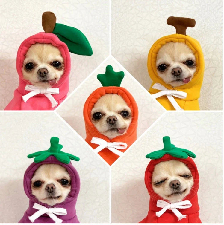 Two-legged hooded fleece dog outfits in various colors for autumn and winter wear