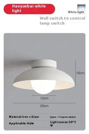 Nordic minimalist ceiling lamp in moon white or obsidian black with LED lighting options