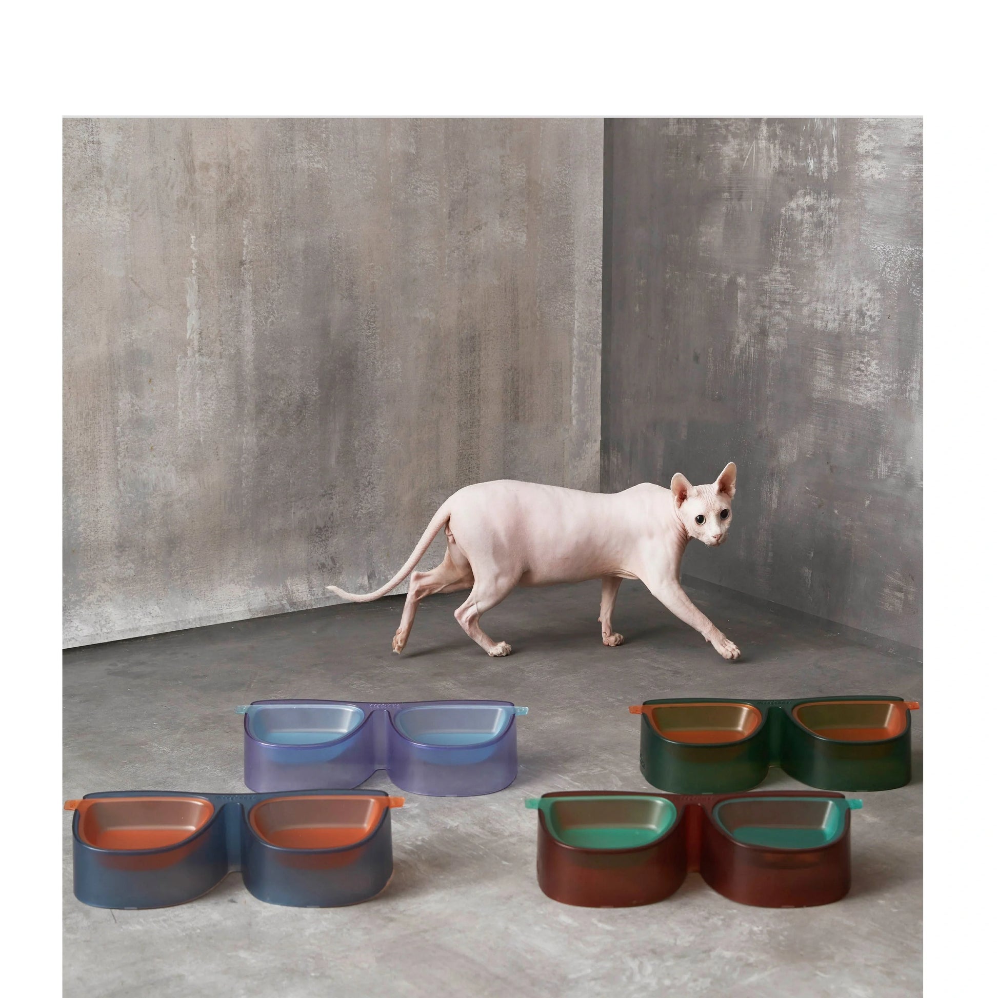 Black super pet bowl with 15° slant design for cat comfort and anti-overturning base