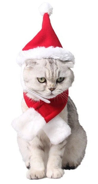 Adjustable reindeer antlers headband for pets, festive Christmas outfit for dogs and cats