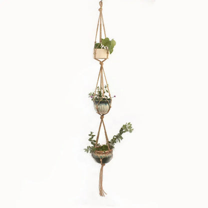 Woven wire lattice plant holder with natural cotton rope, shown in a rustic style supporting a green plant.