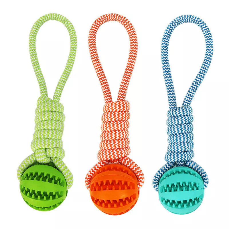 Interactive dog chew toy with rubber ball and cotton rope for dental health