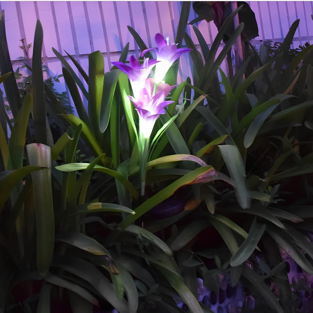 Solar-powered garden light with lily shape and LED bulbs in outdoor setting